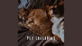Calming Pet Sleep Symphony
