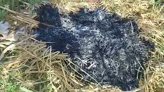 Clean up my farm to start planting soon