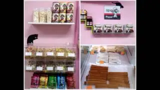 Entrevista en Belfos y Trufas (bar para perros)