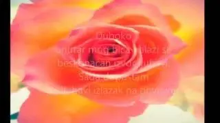 AFIRMACIJA - 💗LEČENJE LJUBAVLJU💗 - Lujza Hej - RADOST
