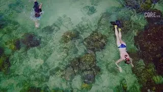 Reef Watch surveys with Green Fins