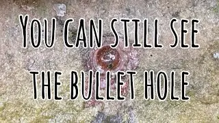 You can still see the bullet hole ( St Cyrus Stroll )