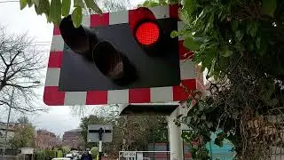 Level crossing signals at Sydney Parade (11-04-2022)