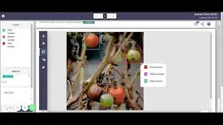 Labeling process on Labellerr