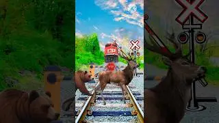 elephant 🐘 Gorilla 🦍 🦘 one train stop train  joker 🤣#funny #youtubeshorts #foryou