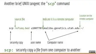 Applied Computational Genomics - 12 - Genome Annotation Formats