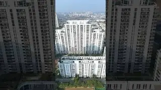 || Resale Units || DLF Ultima    Sector 81  In Gurgaon