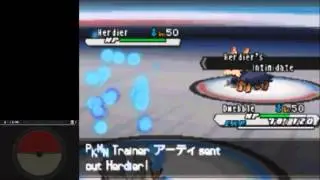 Rental Tournament - Sinlge Battles (Right Side) - World Tournament - Pokemon Black 2 & White 2