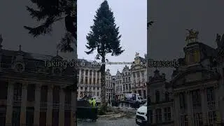 Grand Place, Brussels, Taking down Christmas tree #brussels #christmas #christmastree #travel