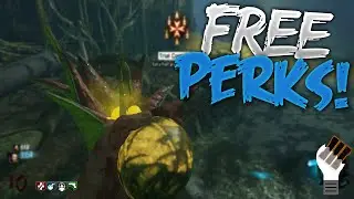 How to Get Free Perks From Fruit on 