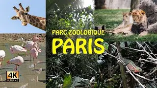Parc Zoologique De Paris: A Wild Adventure In The City Of Love
