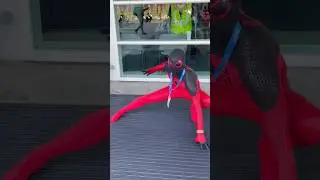 Spider-Man Kaine Costume