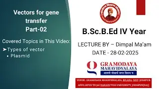 Vectors for Gene Transfer Part-02 | Types of Vector - Plasmid | B.Sc.B.Ed IV Year