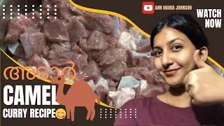 ഉഷാർ ഒട്ടക കറി🐪| Camel meat recipe🐪😋| Malayalam recipe video