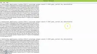 Q2 Molecular Biology (part 1): how to prepare fasta file