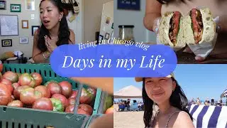 days in my life vlog | engagement party, new buffalo, summer solstice | life in chicago