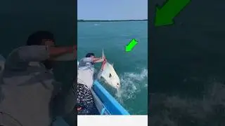 Fishing Facts About Big Fish in small Boat #shortsfeed #facts