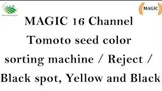 MAGIC 16 Channel Tomoto seed color sorting machine / Reject / Black spot, Yellow and Black