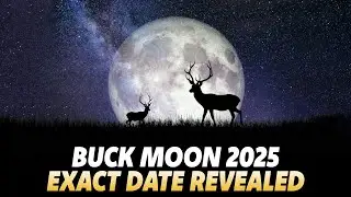 The Buck Moon's Schedule: Your Guide to July's Luminous Night | Space Facts