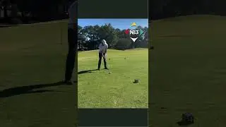 Charlie Woods swing is very similar to Tiger Woods #golf #goat #shorts #golfswing