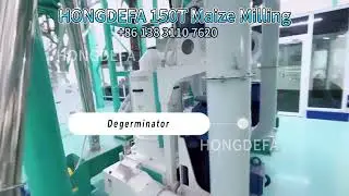 How Kenya Produces Premium Maize Flour | 150T Hongdefa Milling Plant