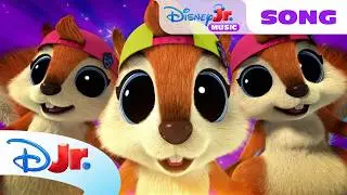 SuperKitties “The Zoomie-Zoom-Zoom Dance” Song! 🐱🎵 | Disney Jr.