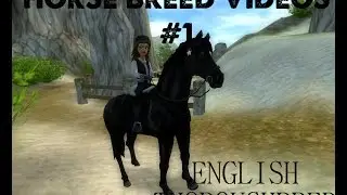 Horse Breed Videos: English Thoroughbred #1