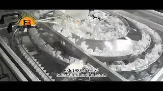 FURI SPOUT CAPS 7 CAMERAS VISUAL INSPECTION QUALITY CONTROL