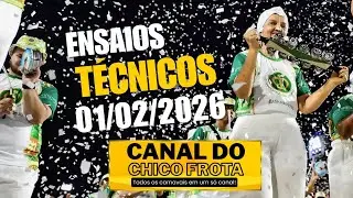 MIRINS 2026 - GOLFINHOS DO RJ / AINDA EXISTEM CRIAN&Ccedil;AS NA VILA KENNEDY / PETIZES DA PENHA