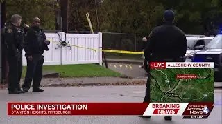 Large police presence, person taken to hospital in Stanton Heights