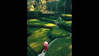 You must go here to visit Bali || Bali || Indonesia || 2021 travel ||
