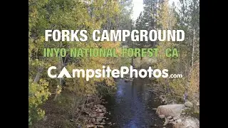 Forks Campground - Inyo National Forest, CA