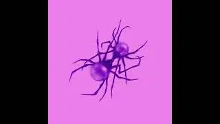 Doja Cat - Go Off  (Slowed and Reverb)
