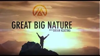 greatBIGnature / The Red Ruffed lemur
