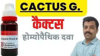 CACTUS G. homeopathic medicine guiding symptoms
