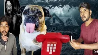 Living Alone In The House / Raat Me Kon A Gay? /Mitha pets vlog