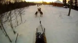 www.aroundtheworld.si Sled dog journey with Michelle Phillips