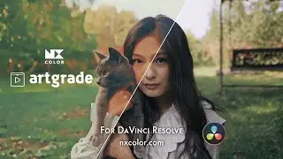 artgrade by NX Color - Convert your videos to painting / sketch / art in #davinciresolve #dctl