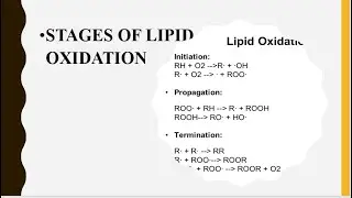 STAGES OF LIPID OXIDATION ll AUTOXIDATION