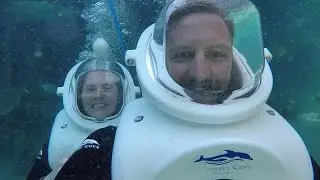 Discovery Cove Birthday Bash | Our First Time Trying SeaVenture & Private Cabana Tour!