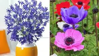 Roberta's 100 Days of Blooms 100pc Spring Garden Bulbs on QVC