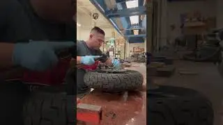 Harley Davidson  wheel bearings removal.  #harleydavidson #wheels #howto #diy #shorts