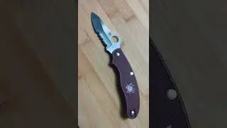 Spyderco UK penknife CTS-BD1 #spyderco #knifecollecting #knifecommunity #edc #edcknife #shorts
