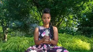 Human Alien Chronicles -  Positive Motivational Mindset - Law of Attraction
