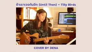 ถ้าเราเจอกันอีก (Until Then) - Tilly Birds |  Cover by Dena