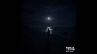 Moonlight Ghost (feat. SheHateAce & Nidas)
