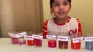 Red cabbage indicator #pH indicator #kitchenscience