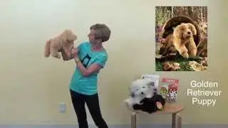 Lynn Kleiner's Puppets with a Purpose, My Dog Rags