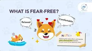 What is Fear-Free? Can vet visits be Fear-Free for pets?