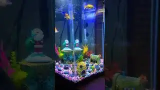 NEW fish tank decor added!!😱❤️🐟 #tiktok #fishtankdecor